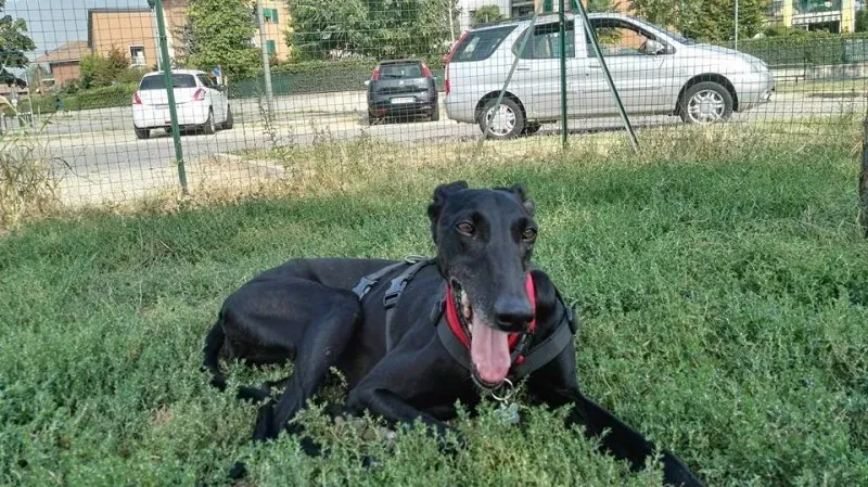 14690990 10210574123139567 1583478866725468914 n