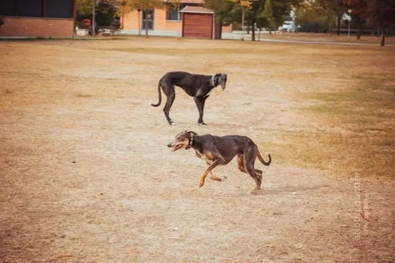 14691017 1437995636214776 3925733551249713418 n 1