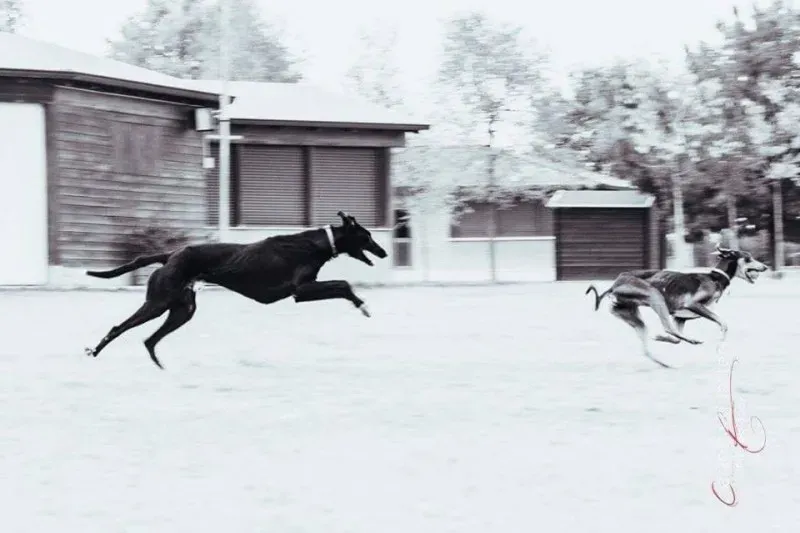 14691025 1437996239548049 2701073423996722918 n