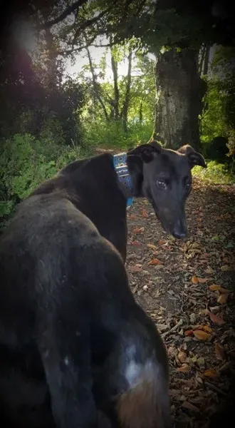 14691103 10154655691731255 7340281564750554899 n