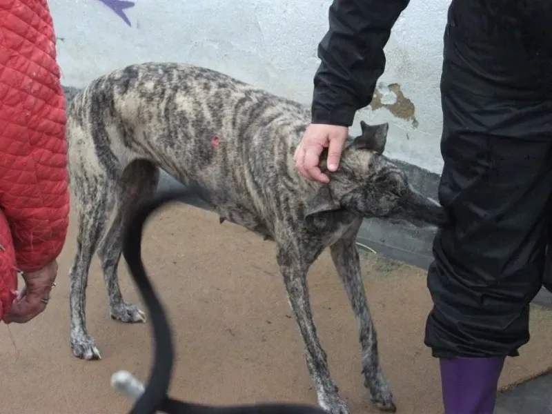 14691147 1154101058007081 5649600077298719601 n