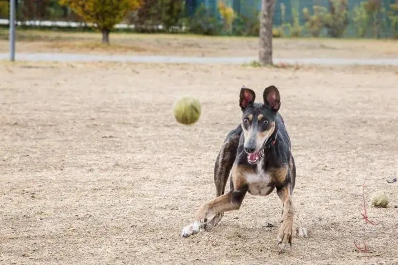 14695373 1437996682881338 1433820824858305367 n