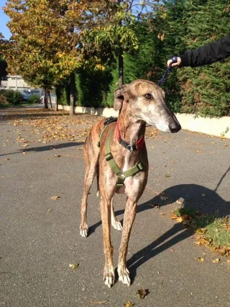 14695569 1155980684485785 5591925495700595821 n