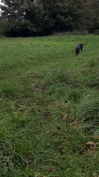 14697166 10209537304523045 417390496 o