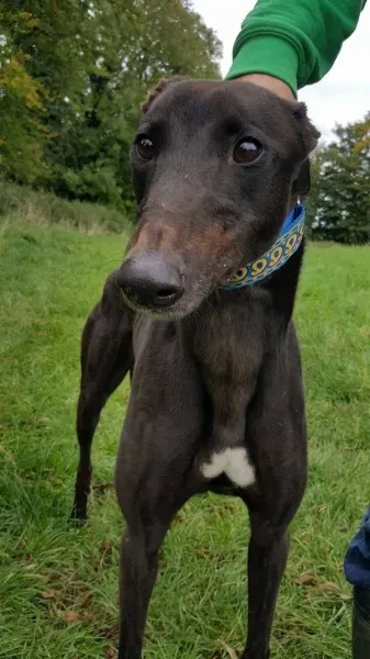 14697285 10209537301522970 495625553 o