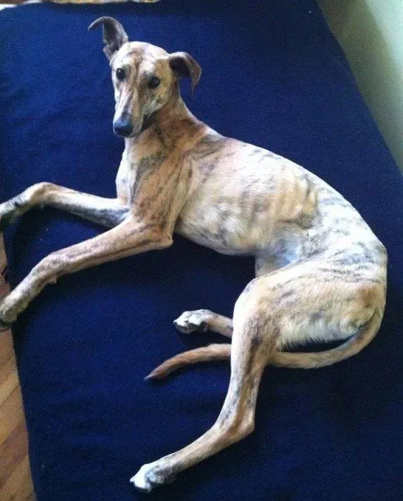 1469978 421894224603253 511669833 n1