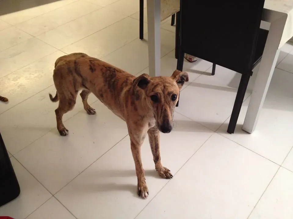 1470046 421626357963373 1443493208 n