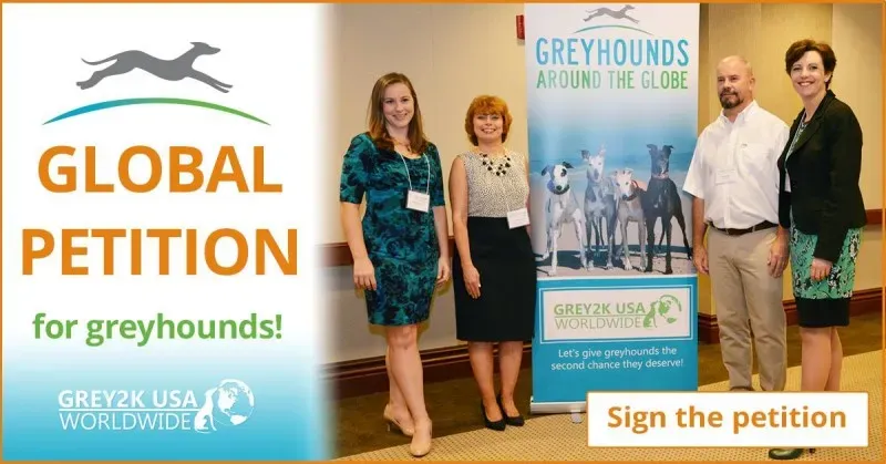 14700753 10153992340268354 2009664852337463803 o 1