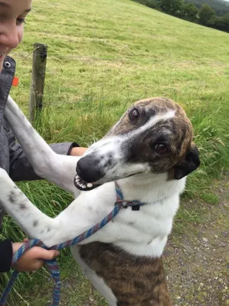 1470107 258409807833261 5215913961547466210 n