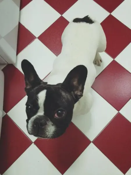 1470109 1139409702743749 5146469574133351281 n