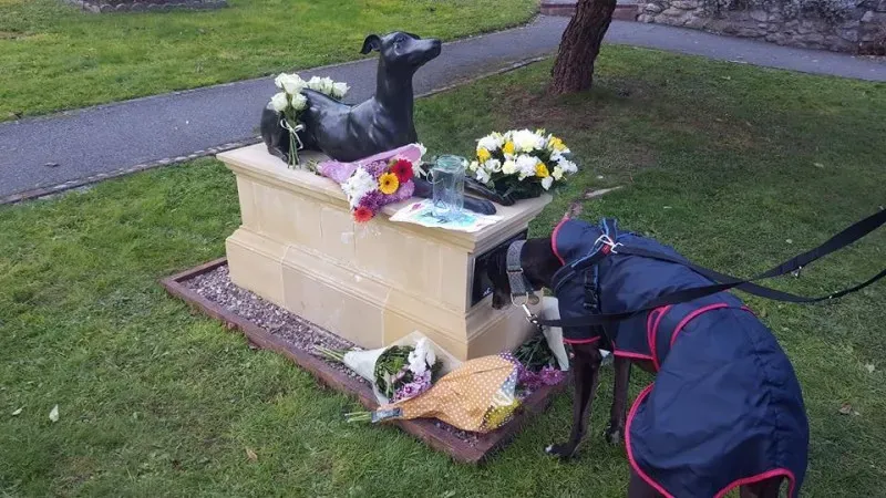 14702252 1121537927954341 2707685835151229017 n