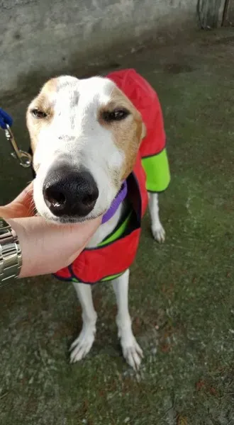 14702284 10154667122826255 8758496743489755968 n 1