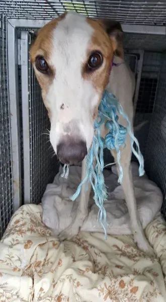 14702357 10154667121901255 8916681288110633327 n 1