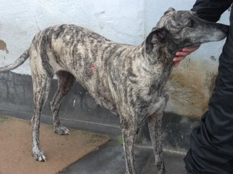 14705620 1154101351340385 6780504112943408572 n