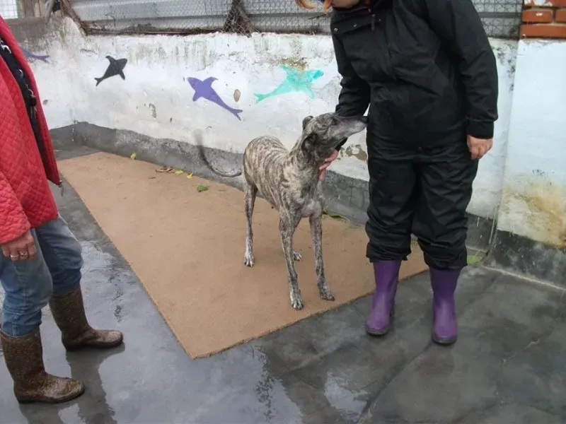 14705640 1154101078007079 7187561544454841655 n