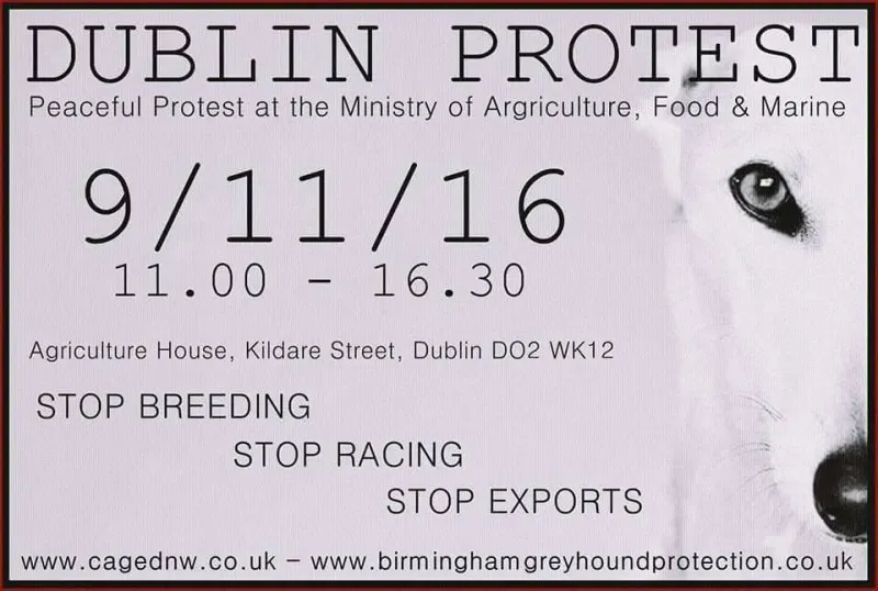 14705768 1486229294726055 6396034023863722943 n