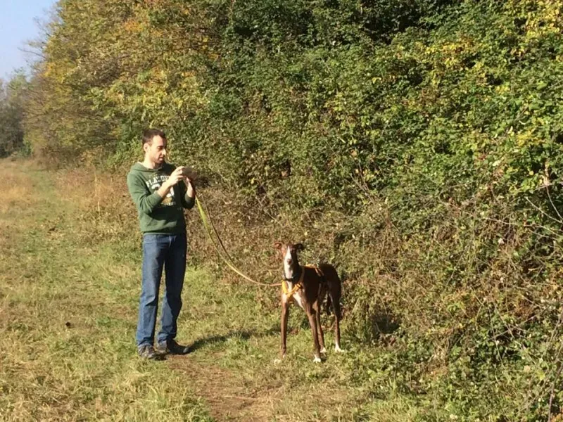 14705789 10208737666691710 5314211912716422219 n