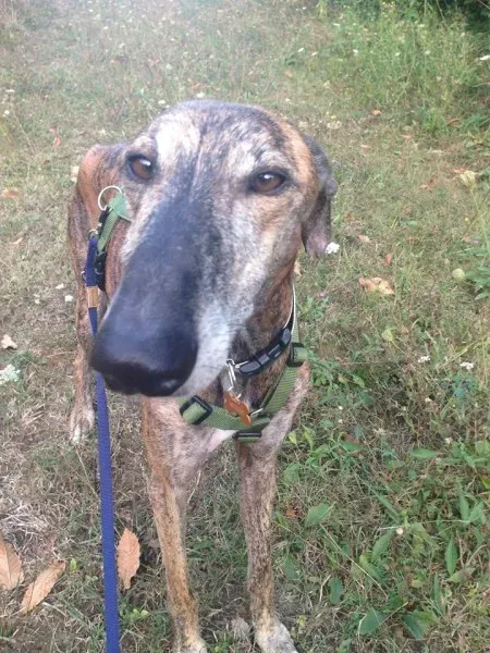 14705842 1144867158930471 4608872697140962653 n