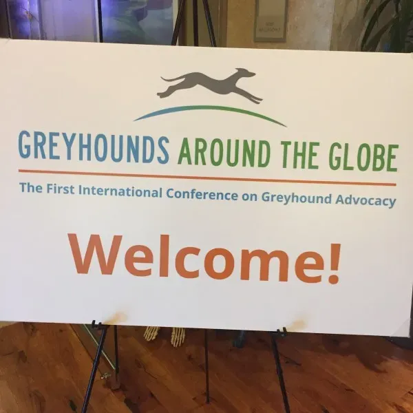 14706912 927118094089554 117939460837061488 o