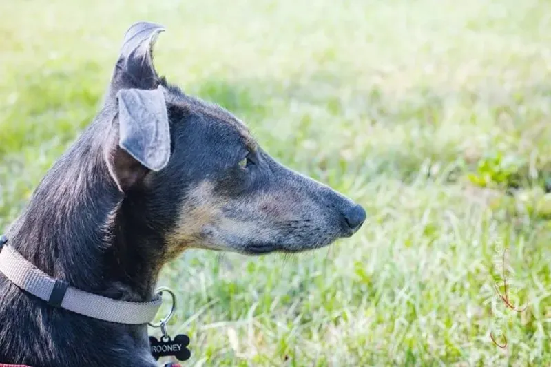 14708111 1437995086214831 6305737208289603899 n 1