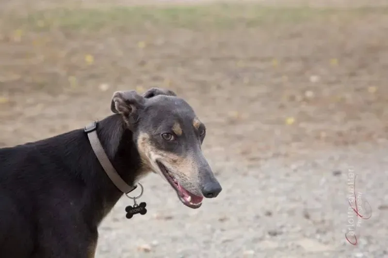 14708238 1437995946214745 3979399383908948551 n 1