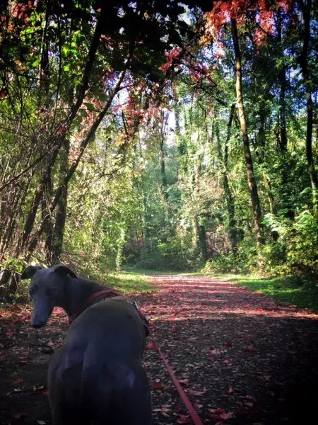 14708290 10210110006162674 8600085945314486804 n