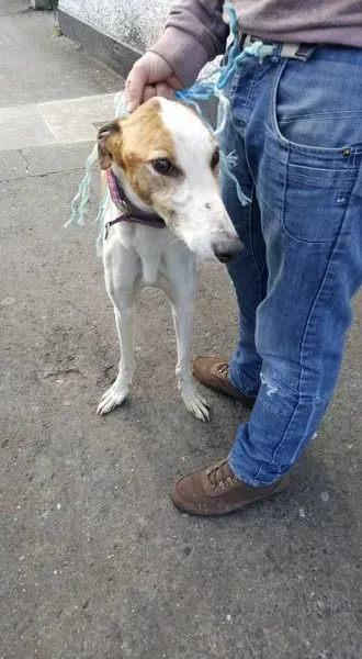 14708343 10154667121796255 1043469865135667849 n 3