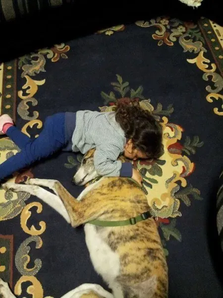 1470864 10201887541422615 1505897313 n