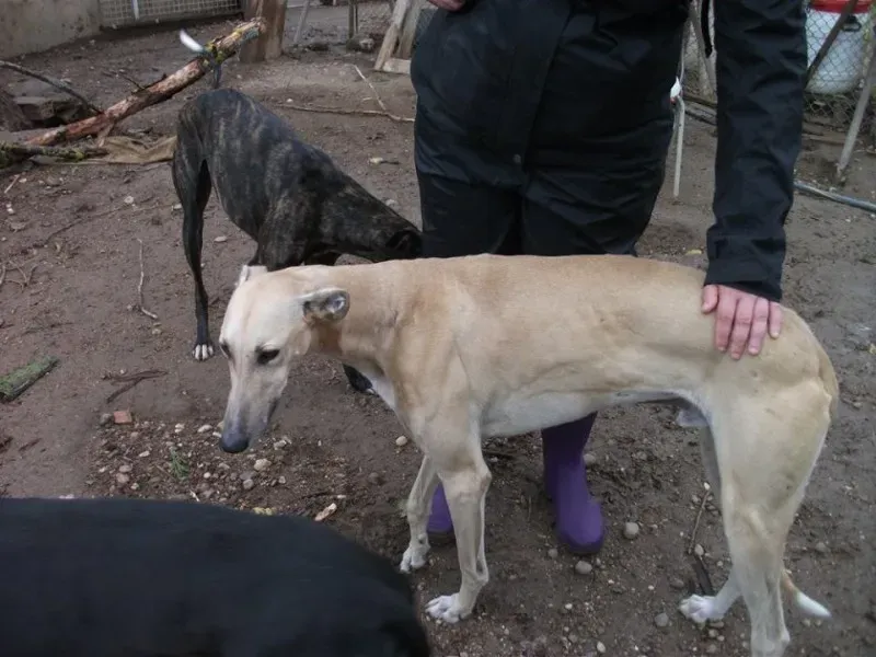 14713680 1154102604673593 2550714398351346318 n