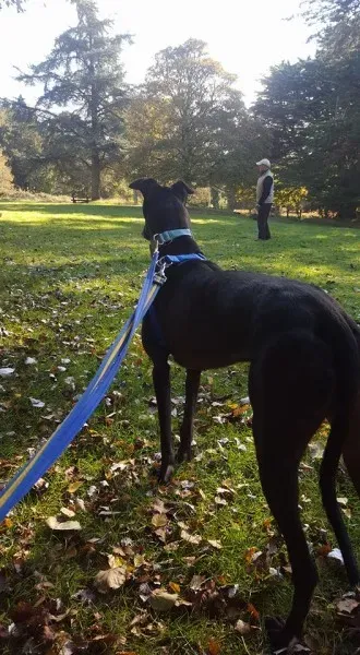 14716228 10154657183756255 8902105052867396695 n