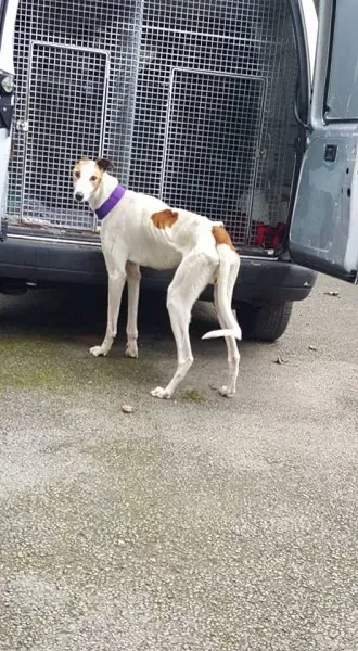 14716337 10154681003321255 6123730032545261029 n