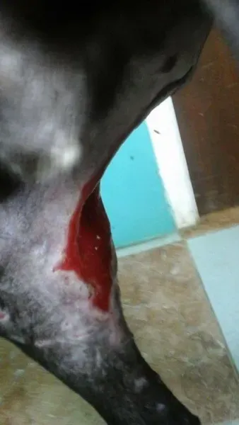 14717050 10211119164846108 1422441397209541704 n