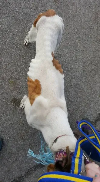 14718689 10154667122146255 3610190322329281738 n 1