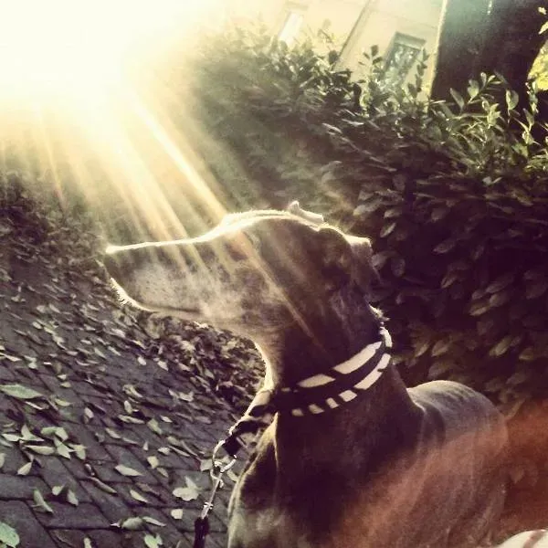 1472012 10202134721842169 1496234883 n