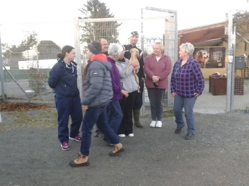 1472032 735224066561451 4757200399085383821 n