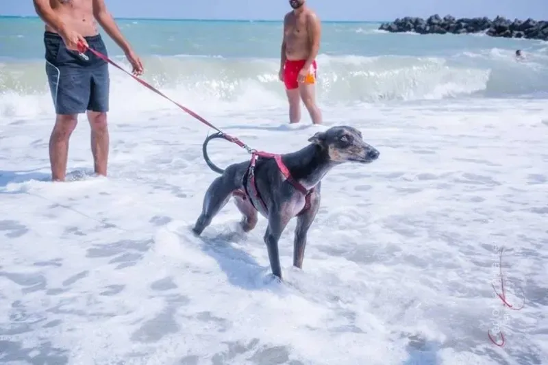 14720373 1437994599548213 3069594020377840047 n