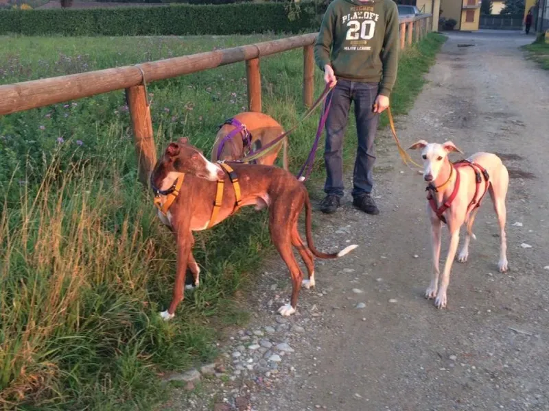 14720391 10208739612820362 7946267823815294456 n