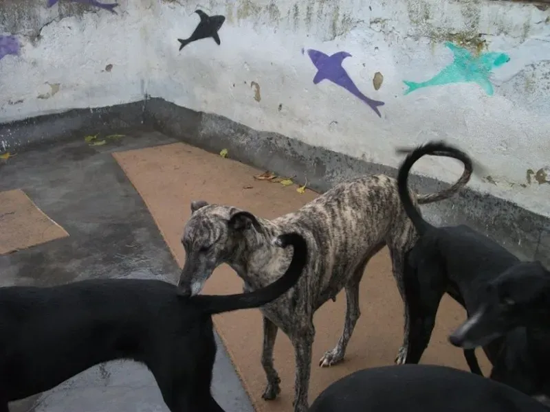 14720469 1154101281340392 267245544290919441 n