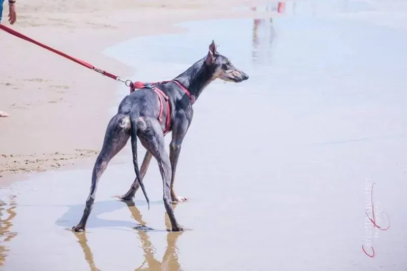 14720484 1437995456214794 3546893460860252407 n 1