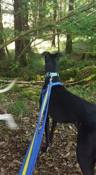 14720520 10154657182801255 781973343651806846 n