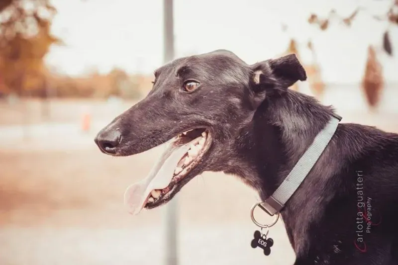 14720563 1437995862881420 6265718006739317017 n 1