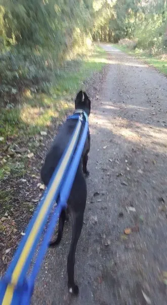 14721493 10154657181881255 2414733342188241680 n