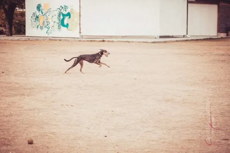 14721543 1437996012881405 162295435143186265 n 1