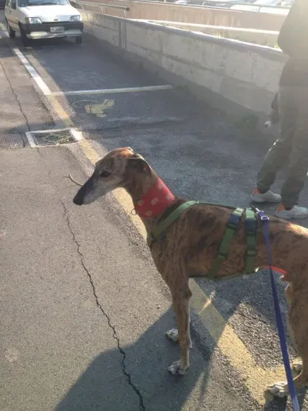 14721553 1155980721152448 3320967343862750255 n