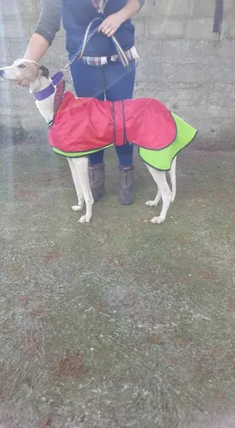 14721686 10154667122736255 8205755118913987656 n 1