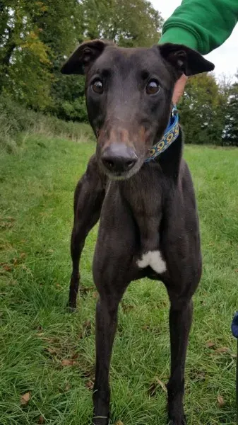 14724077 10209537285042558 301850669 o