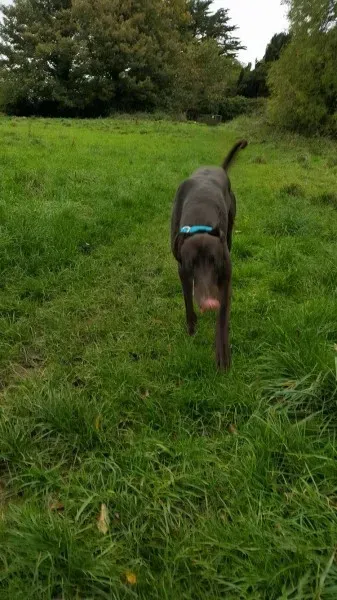 14724116 10209537288402642 2143568505 o