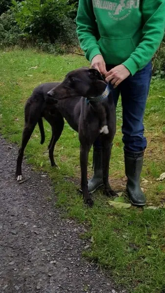 14724150 10209537289682674 1604765470 o