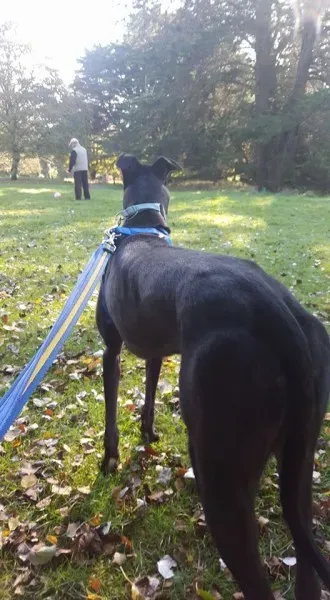 14724583 10154657183046255 5870955573938398008 n