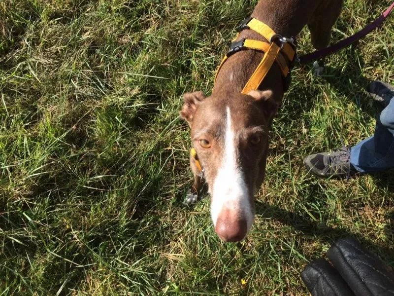 14724642 10208737665091670 300002169183985080 n